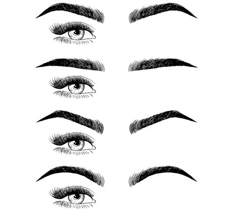 pin by breanna killam on round face beauty tips eyebrow shaping best eyebrow products