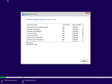 Download Windows 11 Version Dev Build 219961 Consumer Edition With