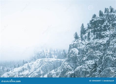 Snow Covered Rocky Mountainside And Evergreen Trees With Fog Stock