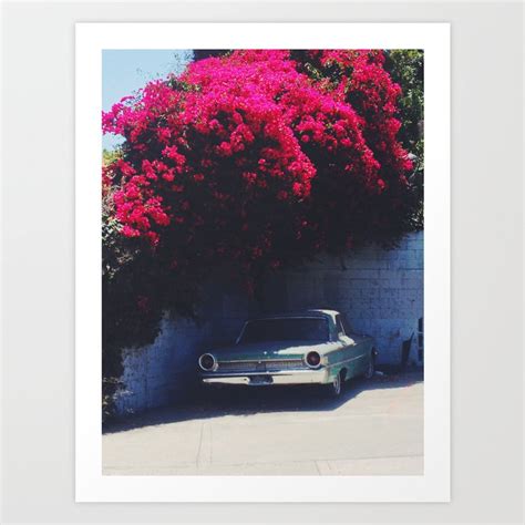 La Street Scene With Vintage Car And Blooming Pink Bougainvillea Hedge