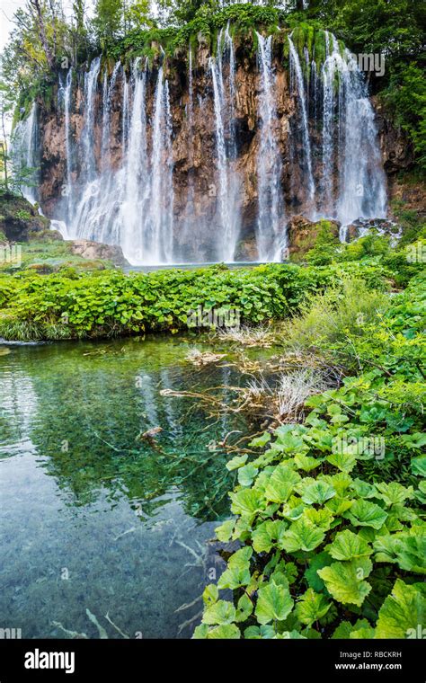 Large Great Waterfall Veliki Slap Plitvice Lakes National Park