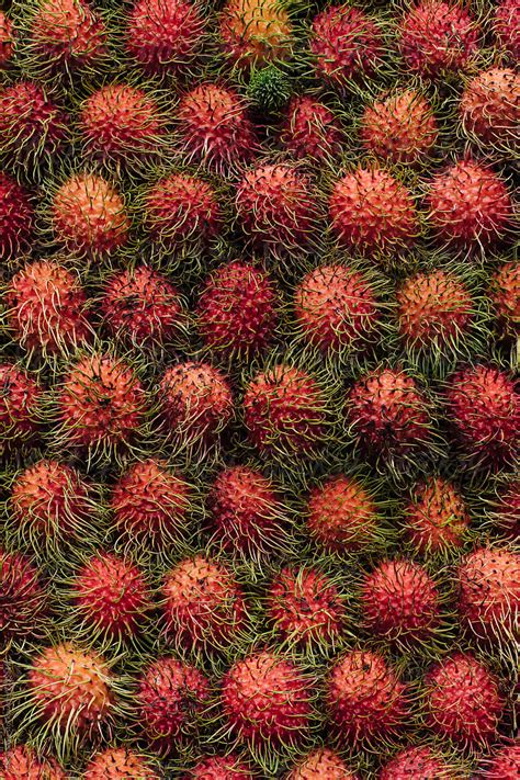 Rambutan Fruit Pile By Stocksy Contributor Marija Savic Stocksy