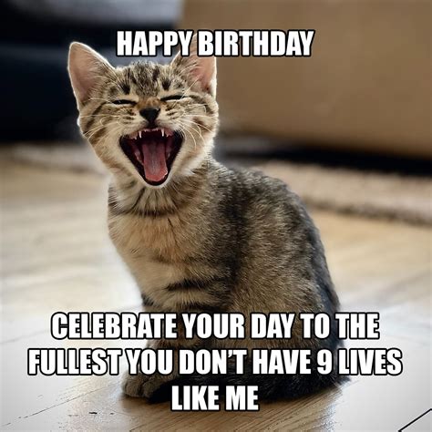 Cat Meme Birthday Card Get More Anythinks