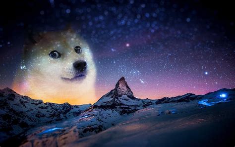 Galaxy Dog Wallpapers Top Free Galaxy Dog Backgrounds Wallpaperaccess