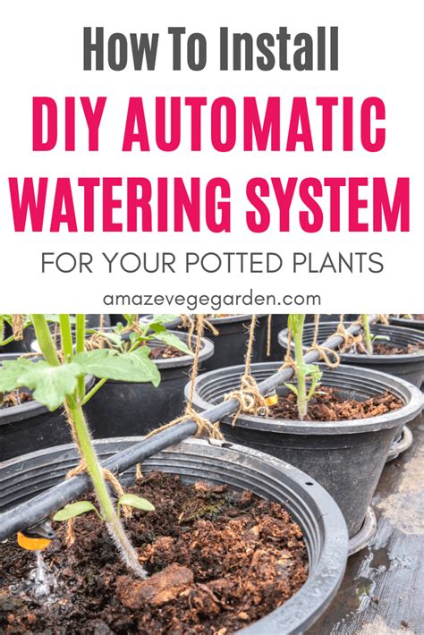 Diy Automatic Plant Watering System For Next To Nothing