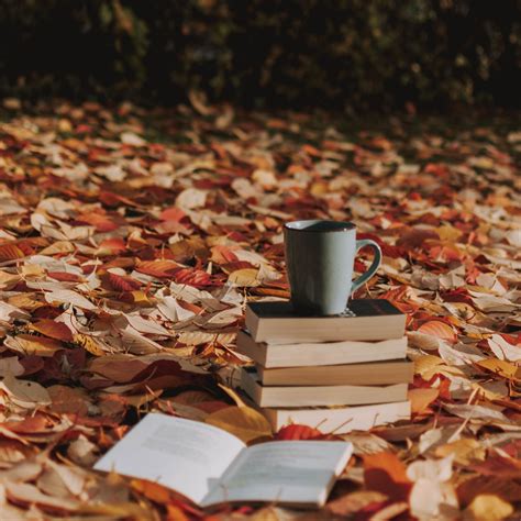 Autumn Reading Wallpapers Wallpaper Cave
