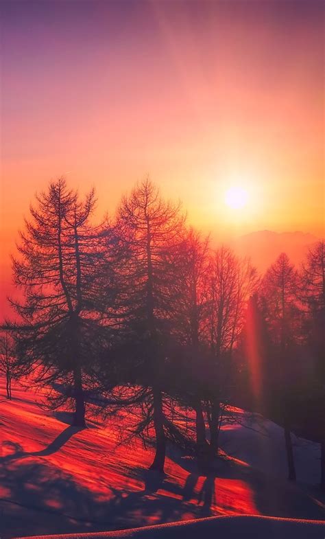 1280x2120 Beautiful Red Tone Sunrise Snow Trees Iphone 6 Hd 4k