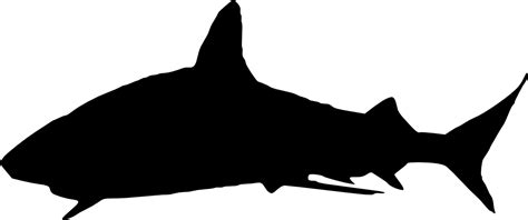 Shark Silhouette Png