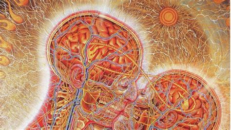 Human Anatomy Illustration Kissing Brain Hd Wallpaper Wallpaper Flare