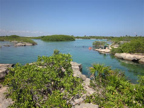 Conoce Lo Mejor Del Cenote Yal Ku En La Riviera Maya Las Mejores