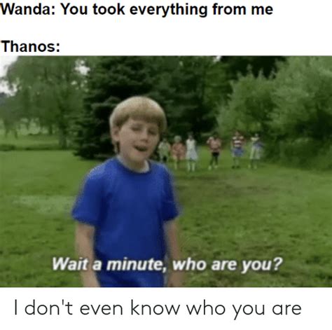 Wanda You Took Everything From Me Thanos Wait A Minute Who Are You I