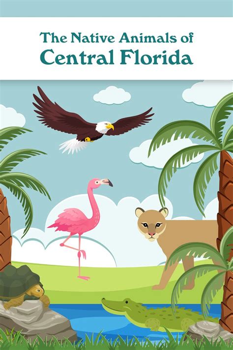 Wild Facts About Central Floridas Native Animals In 2023 Florida
