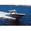 Scout Boats Unveils Innovations New Models At Dealer Meeting  Boating