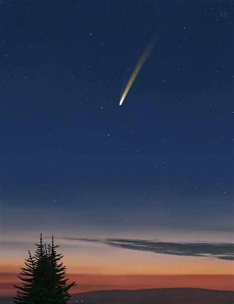 Spruce Comet Sunset Stars Starry Sky Hd Mobile Wallpaper Peakpx