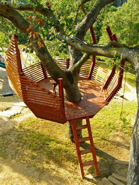 8 Tips For Building Your Own Backyard Treehouse Tree House Diy Tree