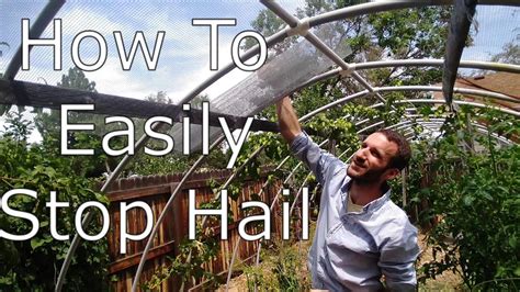 How To Protect Garden From Hail Storm Fasci Garden