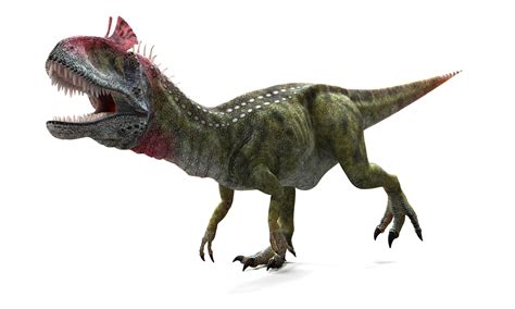 Soğuk Tepeli Kertenkele Cryolophosaurus Ile Tanışın