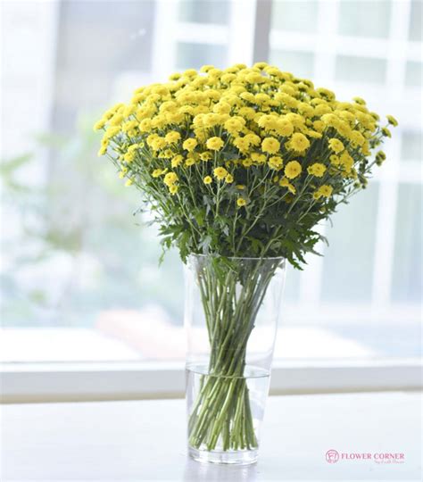 Các Kiểu Cắm Hoa Cúc Vàng để Bàn Thờ Ngày Tết đơn Giản Nhất