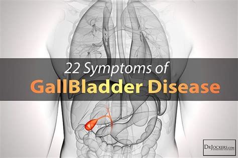 Dr Jockers Gallbladder Cancer Gallbladder Symptoms Gallbladder