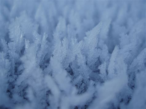 Photo of frosty background | Free christmas images