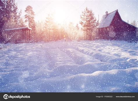 Winter Wonderland Scene Background Landscape Trees