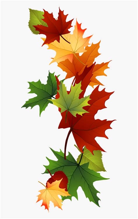 Leaf Fall Leaves Clip Art Beautiful Autumn Clipart Fall Leaves Clip Art Hd Png Download Kindpng