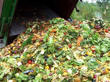 Sementara untuk sampah organik seperti daun gugur, sampah dari sisa pertanian, sampah dari sayuran dapur, dan jenis sampah organik lainnya. Pengertian Limbah Organik