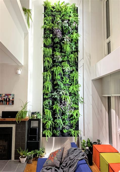 Living Room Interior Design With Plants Plants Plant Indoor Decor