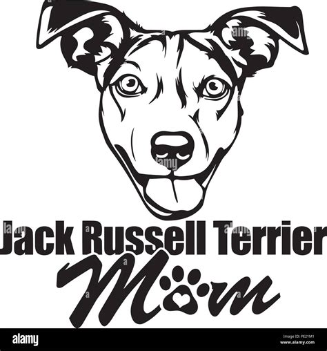 Jack Russell Terrier Dog Breed Face Happy Puppy Animal Pet Hound