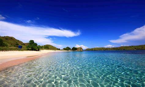 Pink Beach Lombok Komodo Island Harbour Island Bahamas Pink Sand