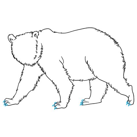 How To Draw A Grizzly Bear Really Easy Drawing Tutorial