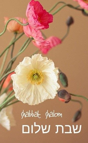 Shabbat Shalom Dandelion Plants Flowers Dandelions Plant