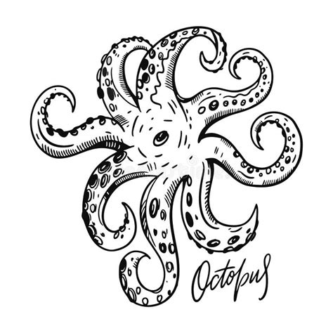 Octobus Hand Drawn Vector Illustration Engraving Style Isolated On