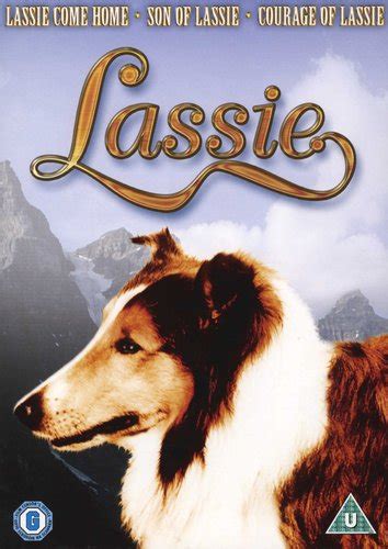 lassie collection lassie come home son of lassie courage of lassie dvd boxed set