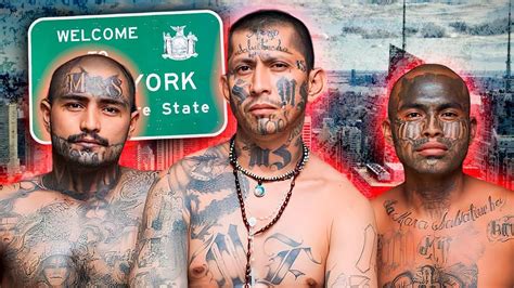 7 Of The Most Dangerous Gangs Taking Over New York