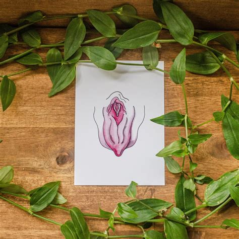 Vulva Card Vulva Art Feminism Drawing Vulva Anatomy Etsy