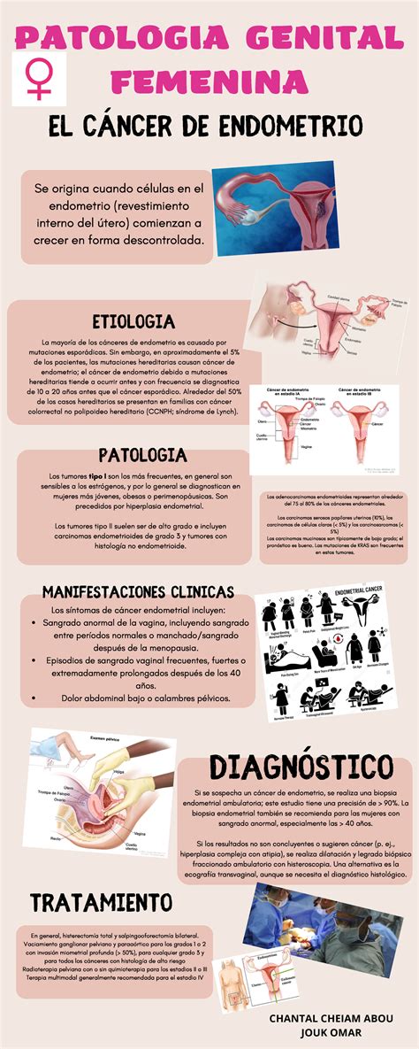 Infografia Cáncer Del Endometrio Patologia Genital Femenina El Cáncer