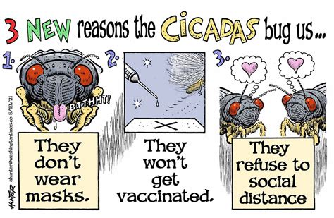 Political Cartoons State Of The States 3 New Reasons The Cicadas Bug Us Washington Times