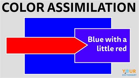 Examples Of Assimilation 6 Types Explained Yourdictionary