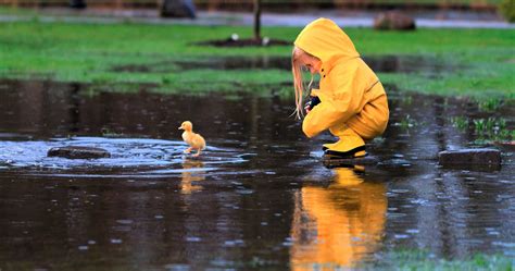 Little Girl Playing With Duckling Wallpaperhd Cute Wallpapers4k