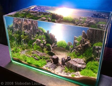 Yang masih hobi aquarium mungkin bisa di coba main aquascape. Daftar Lengkap Peralatan dan Bahan Pembuatan Aquascape ...