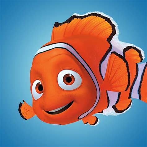 Freddyvg Finding Nemo Pics