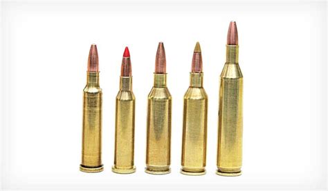 17 Caliber Reloading Data And History For 5 Cartridges Rifleshooter