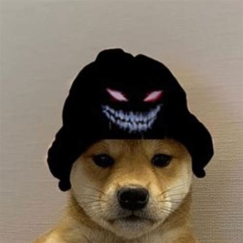 Pin By Marta Trojan On Pieski Dog Images Dog Memes Animal Memes