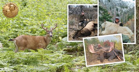 Washington State Big Game Records Boone And Crockett Club