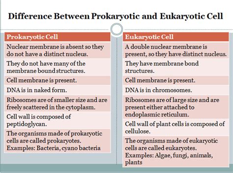 Difference Between Prokaryotes And Eukaryotes With Examples Ox Science