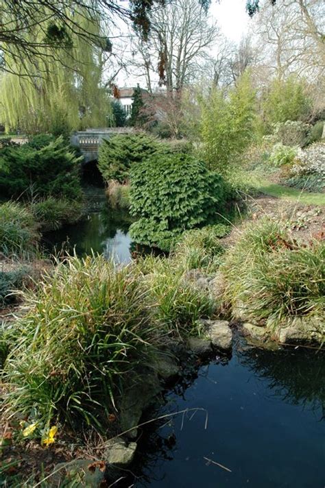 Dulwich Park Pond Pond Outdoor Favorite Places