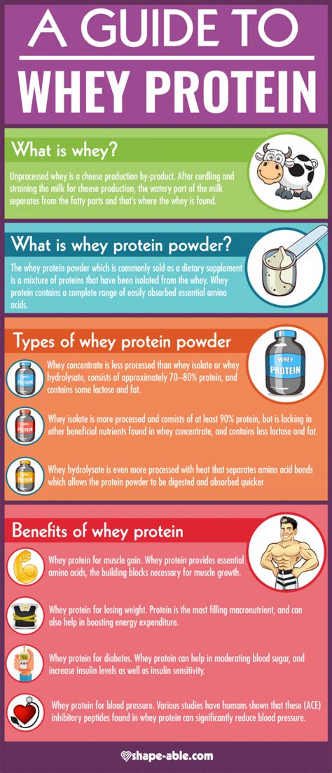 A Guide To Whey Protein [infographic] Accomplish With Spadaro