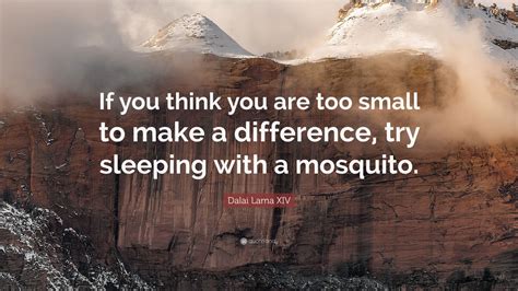 Awarded the 1989 nobel peace prize; Dalai Lama XIV Quote: "If you think you are too small to make a difference, try sleeping with a ...