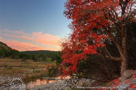 Hill Country Autumn Texas Landscapes Texas Landscape Pictures By